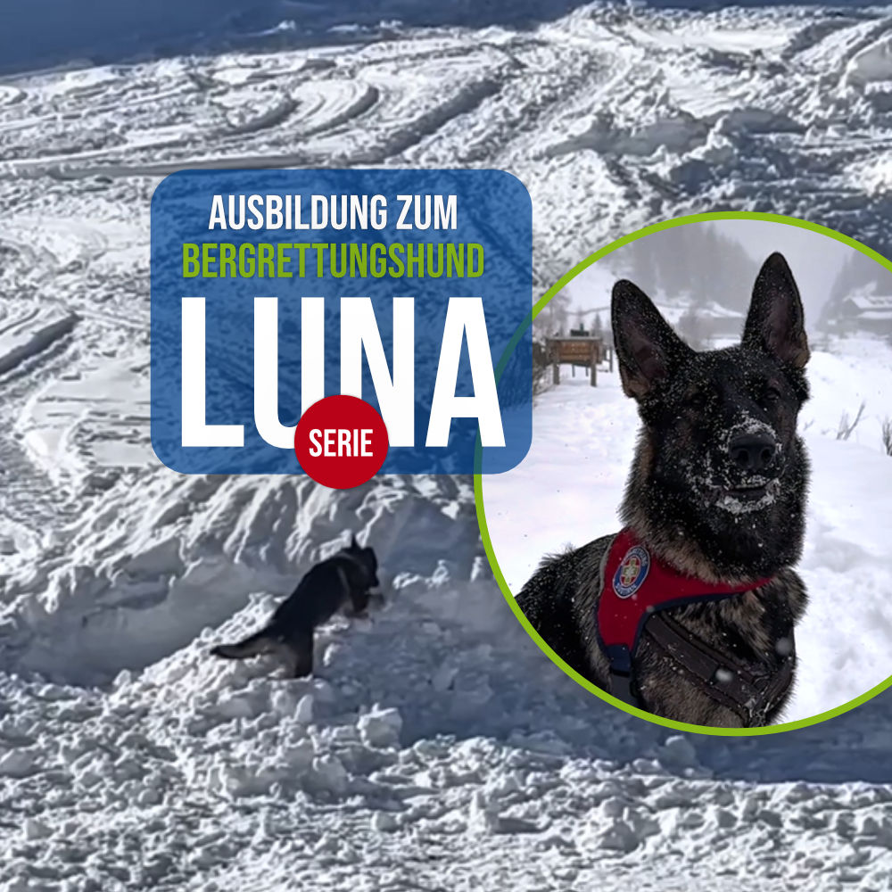 Schäferhündin Luna bei der Ausbildung zum Bergrettungshund im alpinen Gelände mit ihrer Hundeführerin