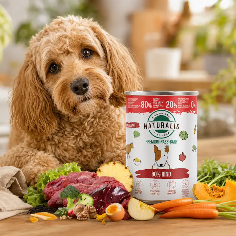 Naturalis Nass-Barf Hundefutter - 80% Rind, 20% Gemüse & Obst getreidefrei ohne Zusätze 100% Natur 350g