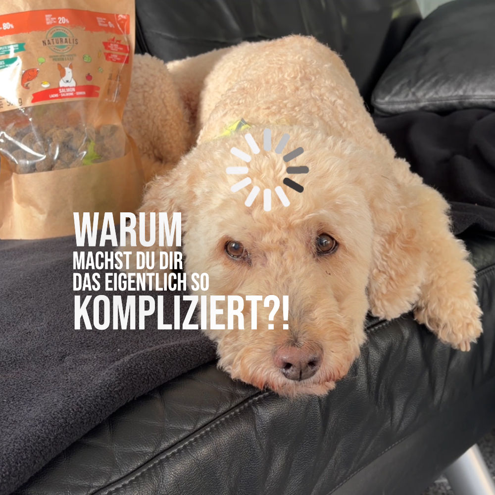 Barf ohne Nährstoff-Sorgen_Wissen