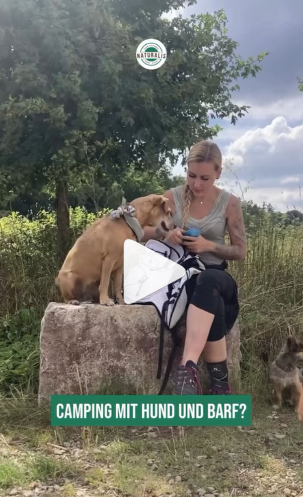 Hund barfen auf Reisen? Erfahrungsbericht von Sina beim Camping